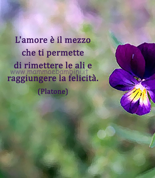 Frase del giorno 21 giugno sull'amore 1 frase del giorno amore 4