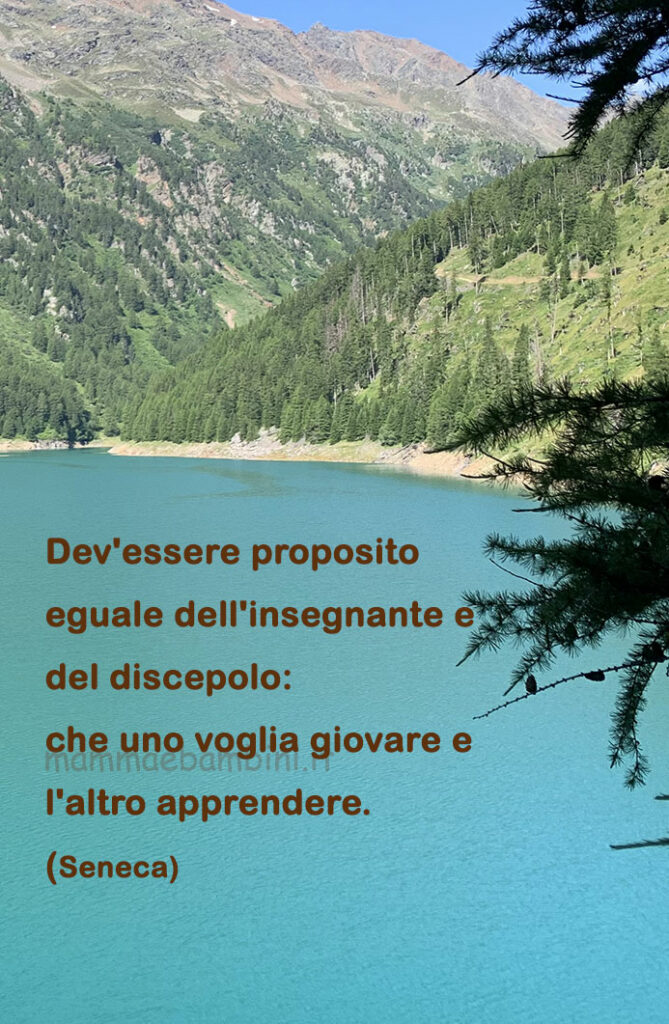 frase del giorno apprendere