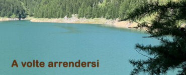 frase del giorno arrendersi