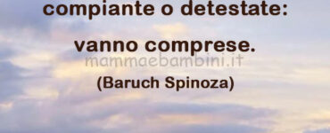 frase del giorno comprendere