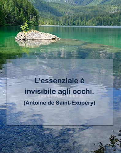 frase del giorno essenziale