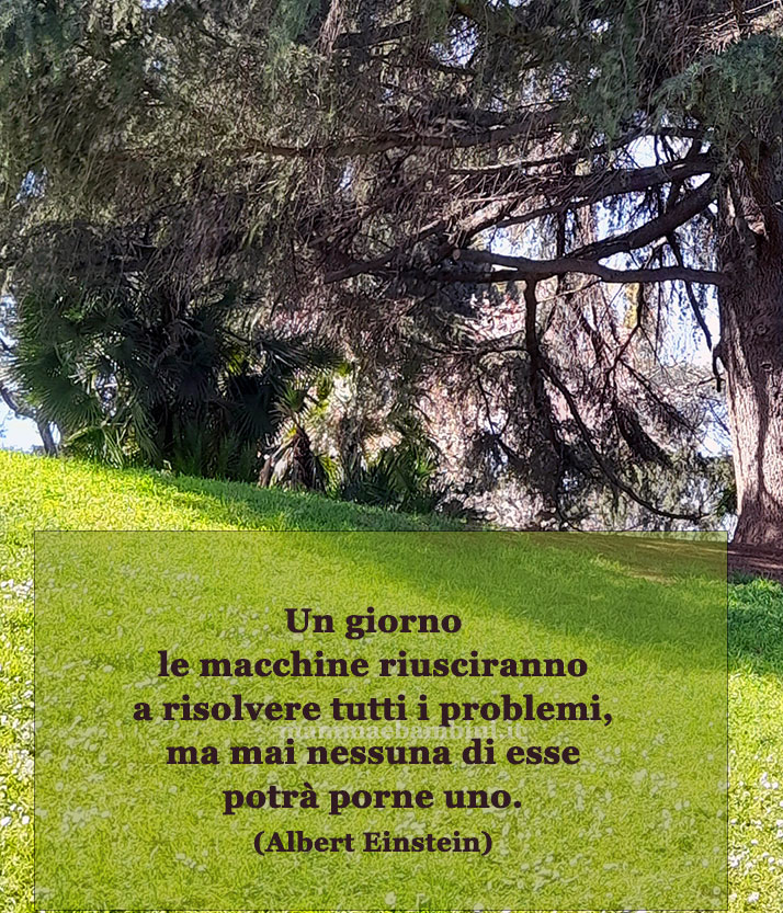 frase del giorno macchine