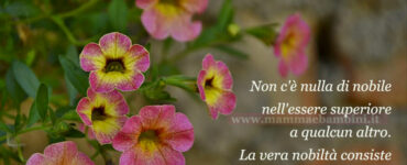 frase del giorno nobilta