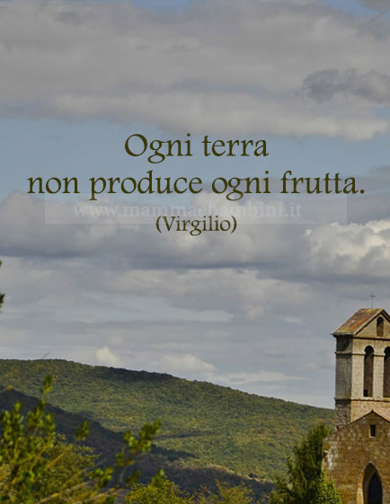 Frase del giorno 25 giugno su produrre 1 frase del giorno produrre