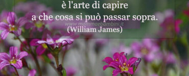 frase del giorno saggezza 1