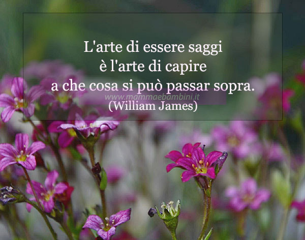 frase del giorno saggezza 1