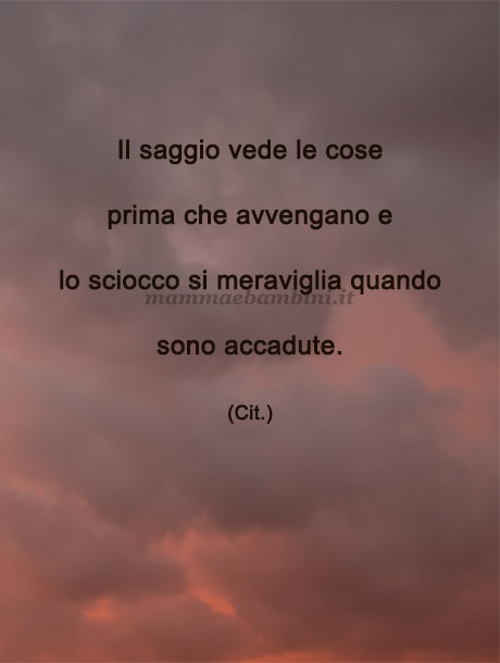 Frase del giorno 25 giugno sulla saggezza 1 frase del giorno saggezza 2