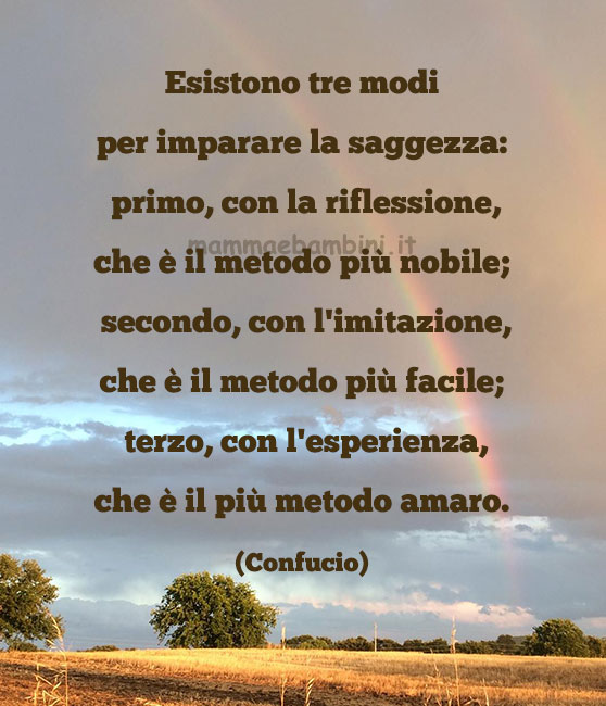 Frase del giorno 27 giugno sulla saggezza 1 frase del giorno saggezza 3