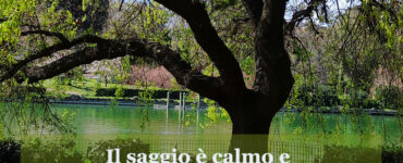 frase del giorno saggezza