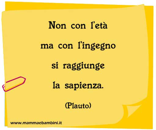 frase del giorno sapienza