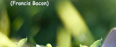 frase del giorno solitudine