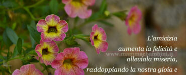 frase del giorno amicizia 1