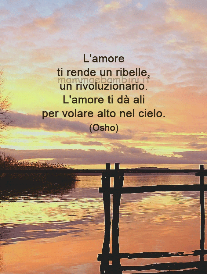 Frase del giorno 20 luglio sull'amore 1 frase del giorno amore