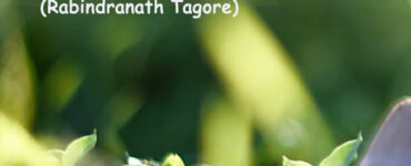 frase del giorno donare