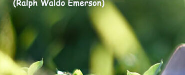 frase del giorno entusiasmo