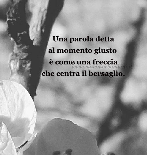 Frase del giorno 1 luglio sulla parola 1 frase del giorno parola