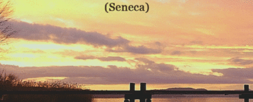 frase del giorno vita