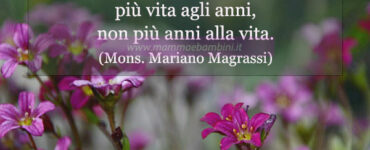 frase del giorno vita