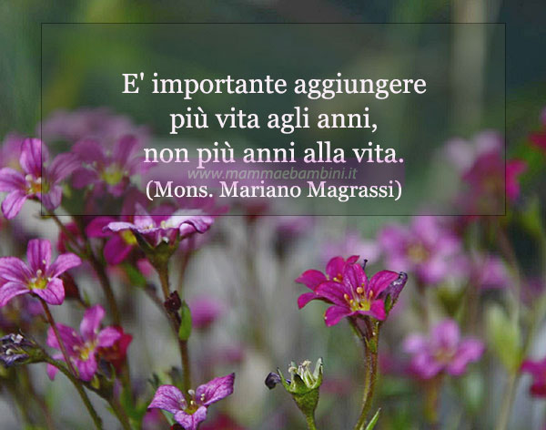 frase del giorno vita