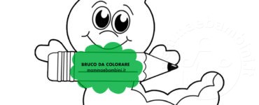 bruco con matita