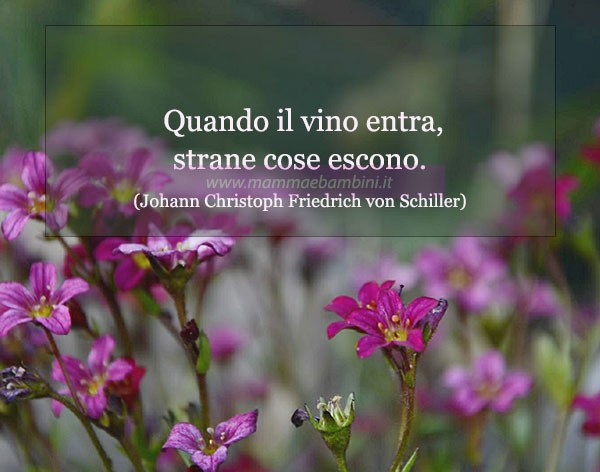 frase del giorno bere