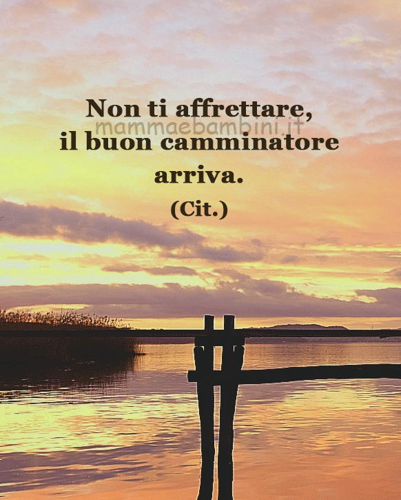 frase del giorno camminare