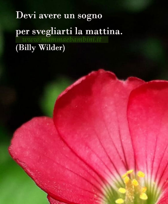 frase del giorno sognare