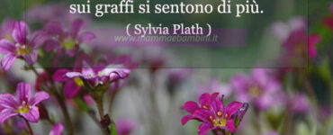 frase del giorno carezze