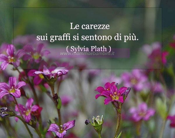 Frase del giorno 6 settembre sulle carezze 1 frase del giorno carezze