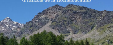 frase del giorno gratitudine