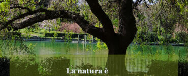 frase del giorno natura
