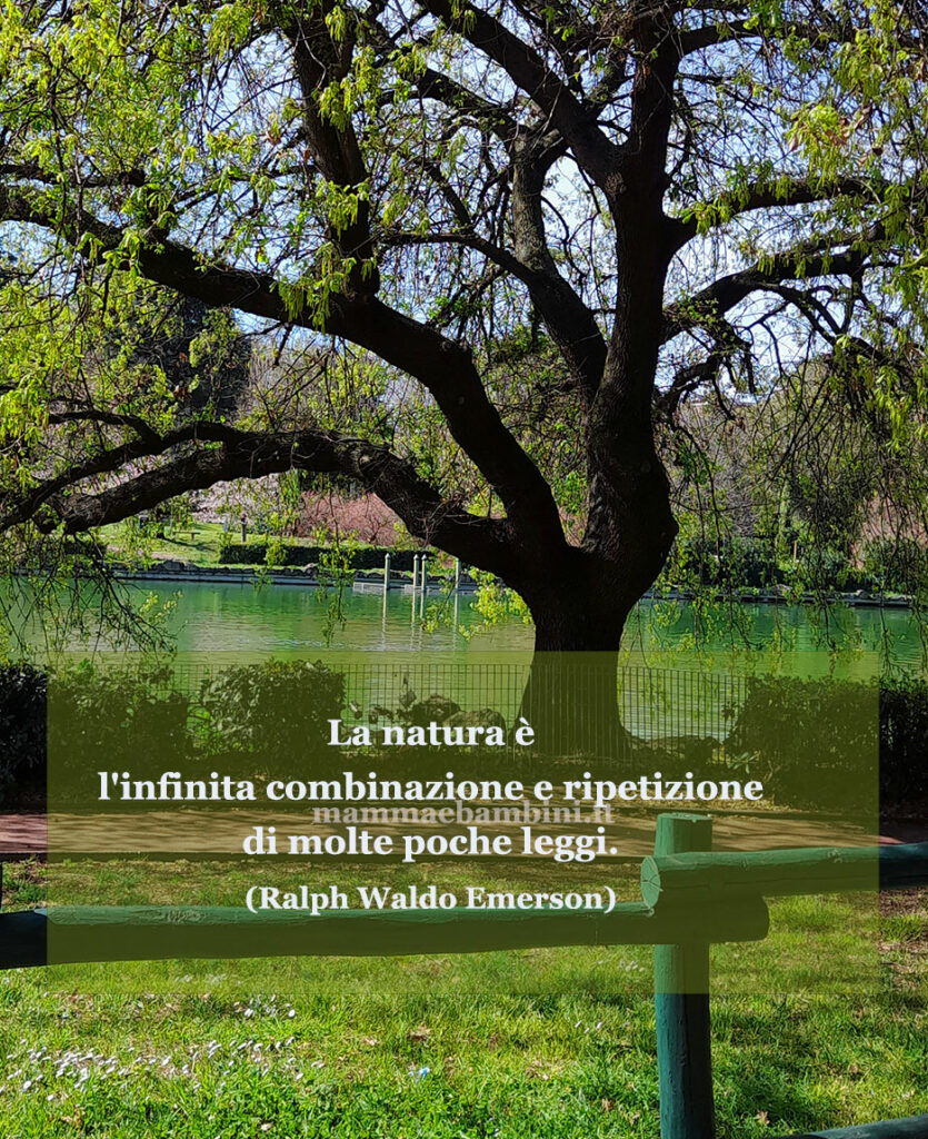 Frase del giorno 12 settembre sulla natura 1 frase del giorno natura