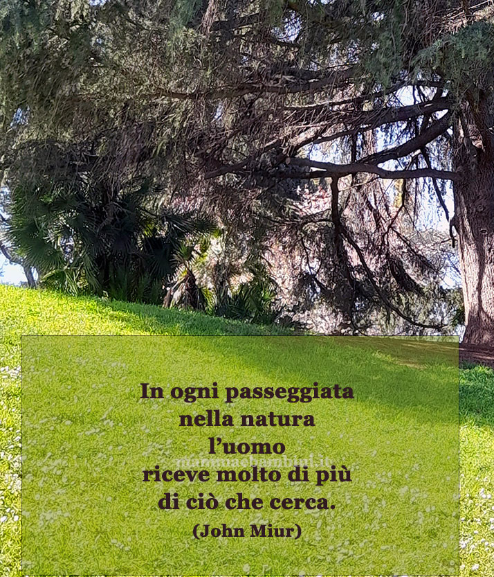 Frase del giorno 20 settembre sulla natura 1 frase del giorno sulla natura