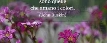 frase del giorno colori