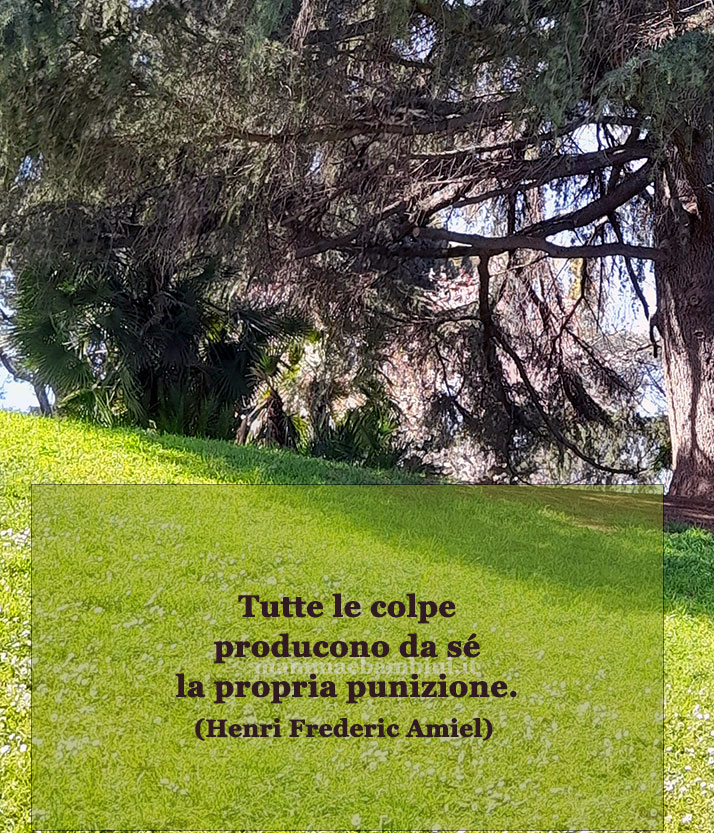 frase del giorno colpe