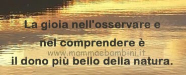 frase del giorno comprendere
