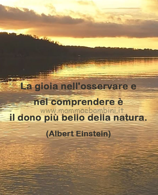 frase del giorno comprendere