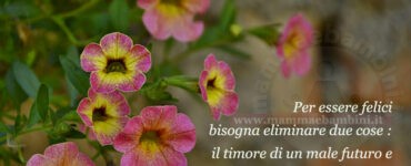 frase del giorno vita 2
