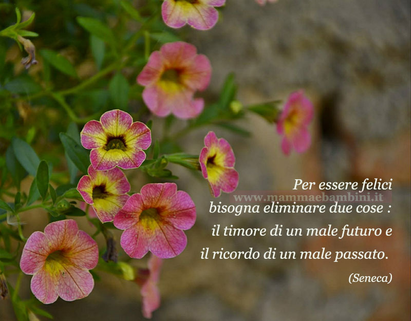 frase del giorno vita 2
