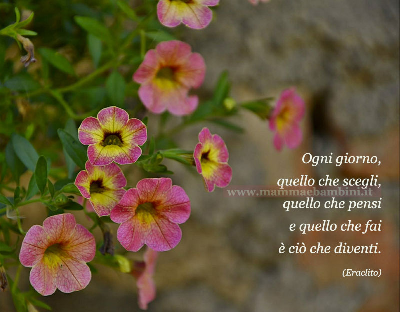 frase del giorno comportamento