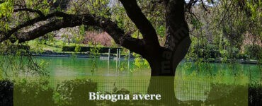 frase del giorno radici