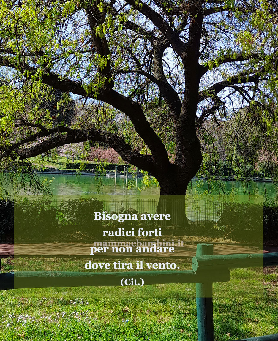 frase del giorno radici