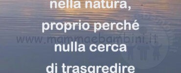 frase del giorno natura