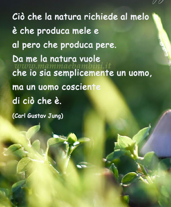 frase del giorno natura