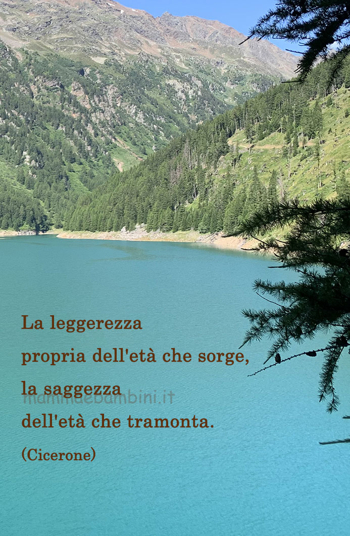 frase del giorno saggezza