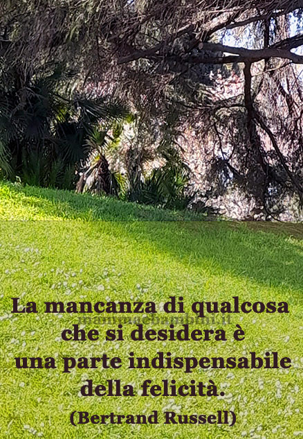 frase del giorno felicita