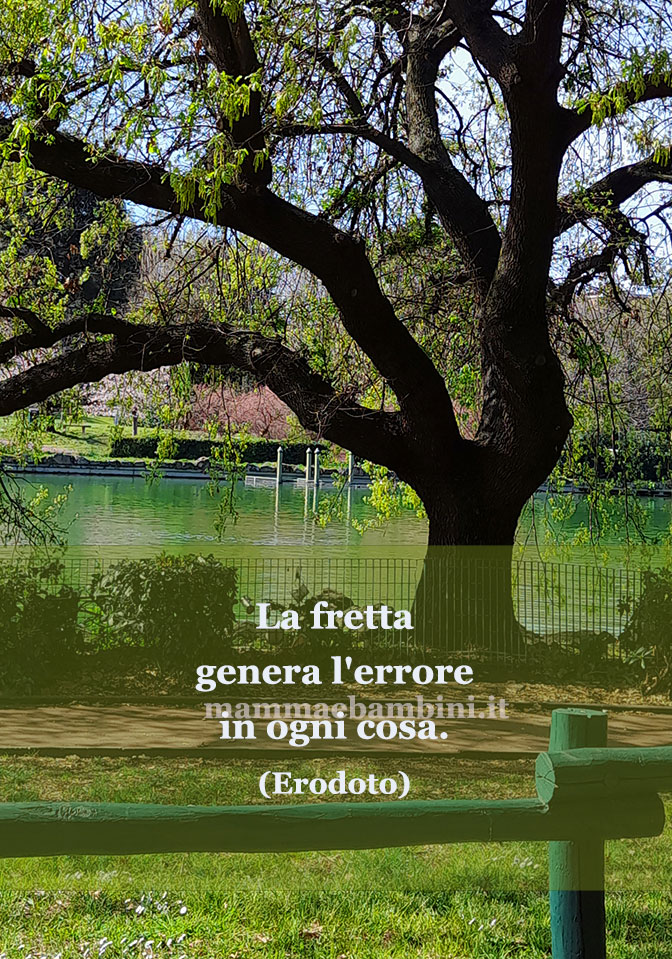 frase del giorno fretta