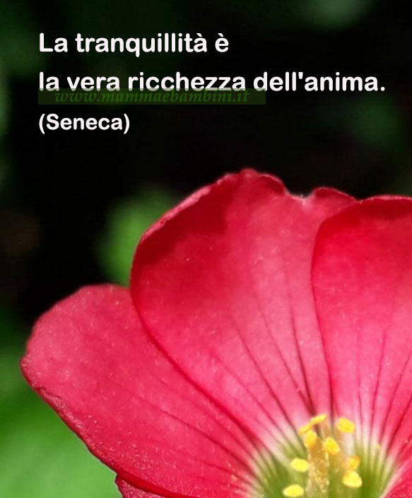 frase del giorno tranquilita
