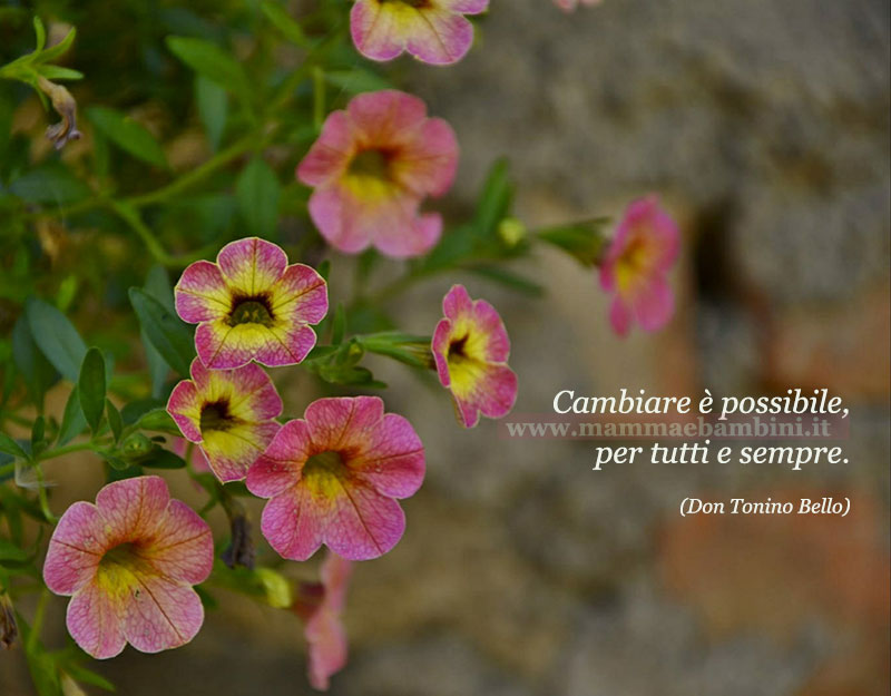 frase del giorno cambiare