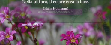 frase del giorno colore